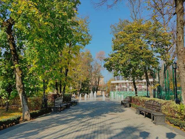 Назначено проведение экспертизы муниципальной программы